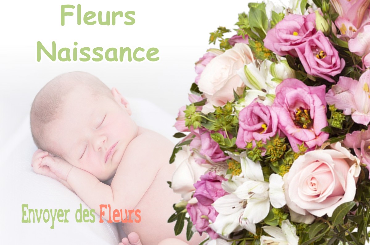 lIVRAISON FLEURS NAISSANCE à PONT-EVEQUE