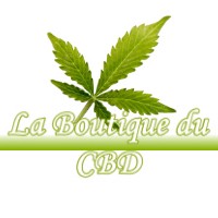 LA BOUTIQUE DU CBD PONT-EVEQUE 